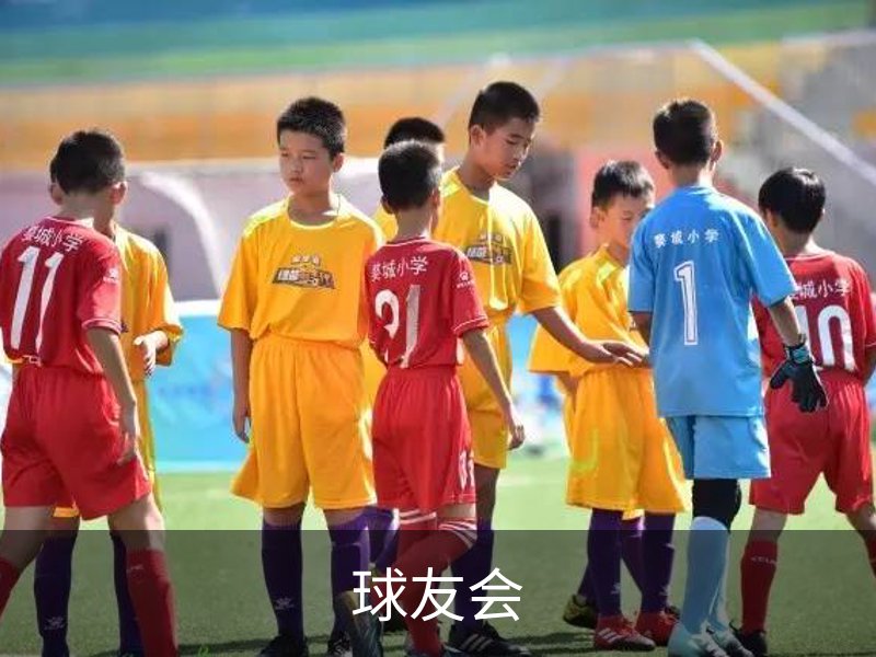 球友会简介